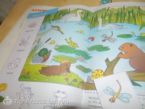 ТН &quot;Насекомые!&quot; Итоговый день