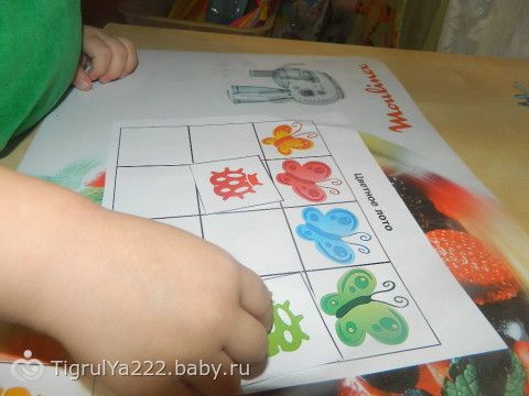 ТН &quot;Насекомые!&quot; Итоговый день
