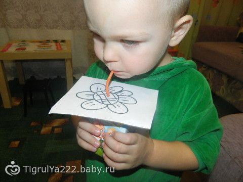 ТН &quot;Насекомые!&quot; Итоговый день