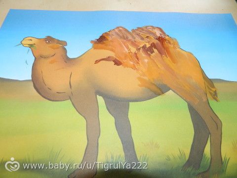 Тн Цветная Коричневый (продолжение тн Радуга)