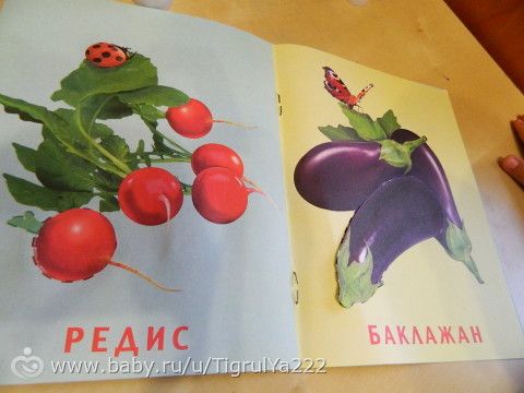 &quot;Растим гения&quot; день 8