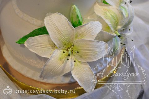 Еще немного про Димочку, и результаты моей рабочей недельки))