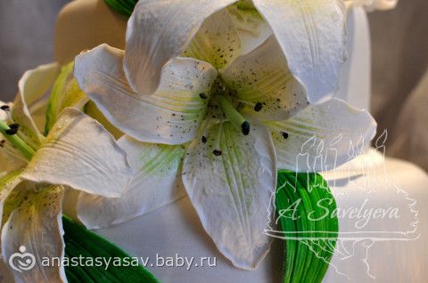Еще немного про Димочку, и результаты моей рабочей недельки))