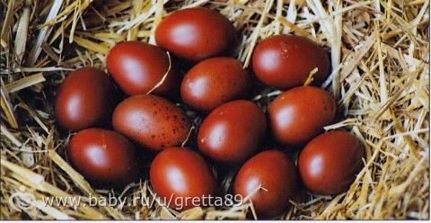 У кого частные дома