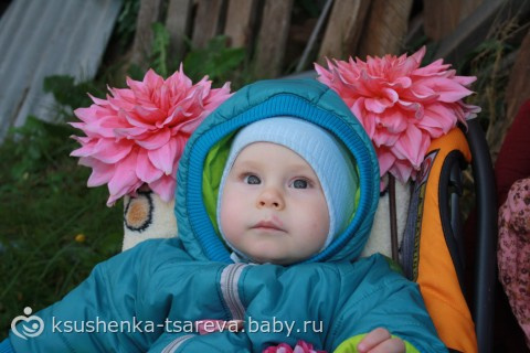 8 месяцев