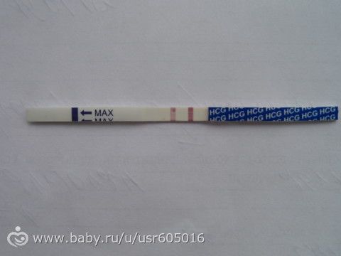 5 недель не слышно сердцебиения