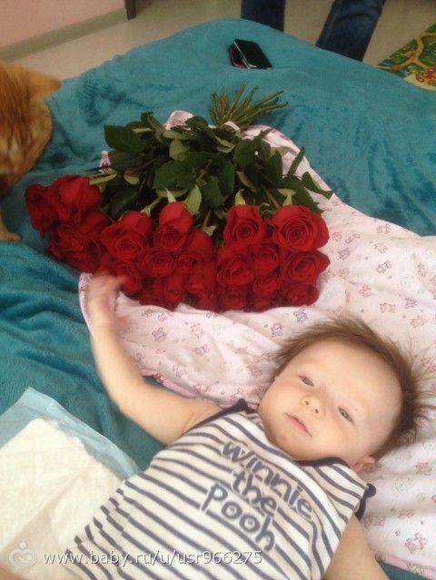 5 месяцев