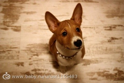 Мой солнечный мальчик