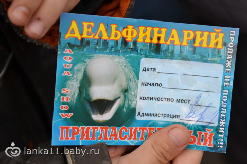 Дельфинарий, или С какого возраста детей можно водить на спектакли и представления