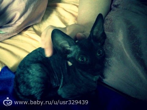 Наш тяжелый месяцок... Наши новости!!! (Много фоточек)