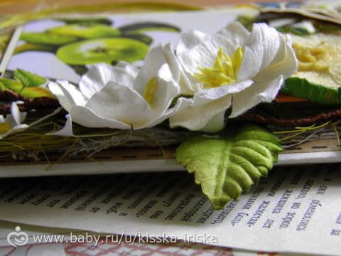 Летняя открытка &quot;Яблочное настроение&quot;