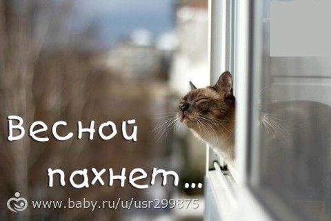 Весна (вторая) или Снова Здравствуйте!