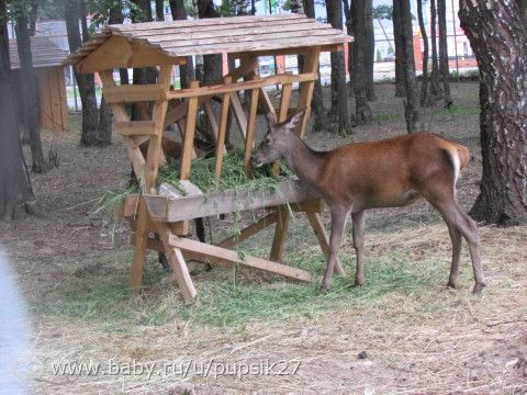 День рождение Паши!!!! Фото