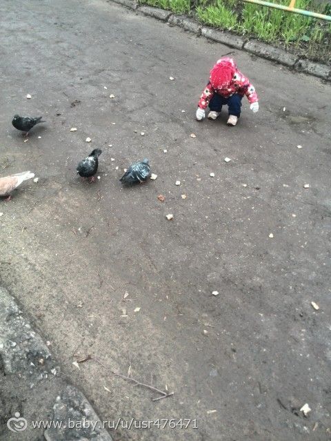 Задания марафона на 26.04.2015. Мы №40
