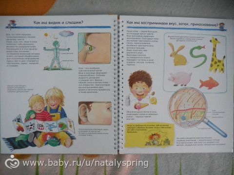 Книги, которые помогут рассказать ребёнку о теле и о том, откуда берутся дети