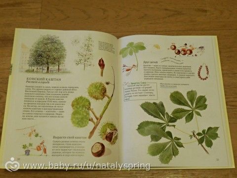 Книжный сундучок. Июнь.