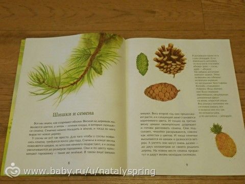 Книжный сундучок. Июнь.