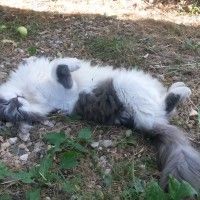 На каком сроке делают второе узи На каком сроке делают второе узи