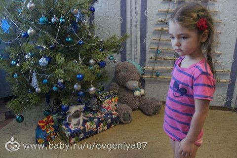 Наш новый 2015 год)
