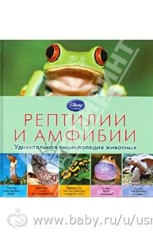 Наше ТЗ &quot;Лягушка&quot; с раздачей материала (2г10м)