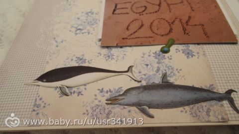 Новогодний альбом и про путешествие