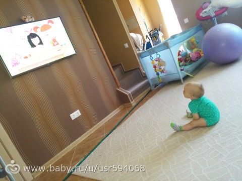 11 мес